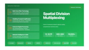 Spatial Division Multiplexing: Future of Submarine Network Capacity