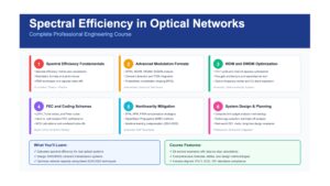 Spectral Efficiency in Optical Networks