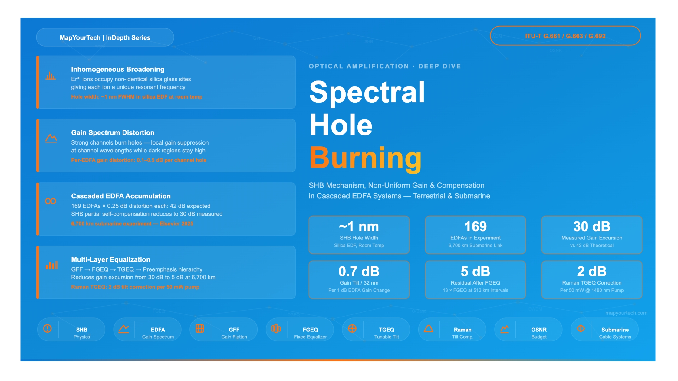 Spectral Hole Burning in EDFAs