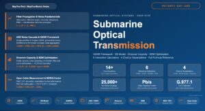 Ultralong-Haul Transmission in Submarine Optical Systems